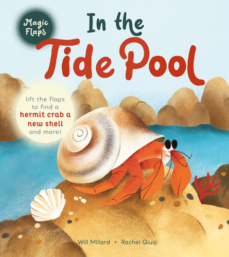 In The Tide Pool : A Magic Flaps Book (BB)