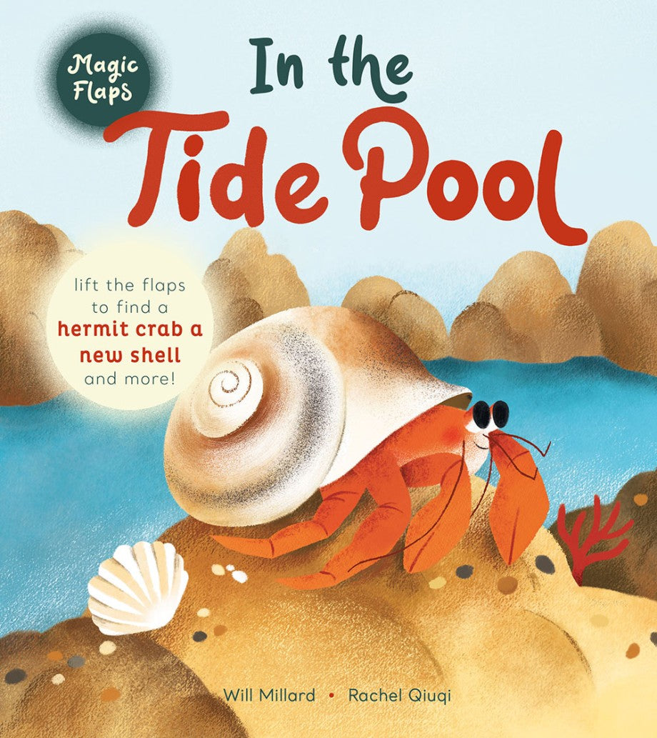 In The Tide Pool : A Magic Flaps Book (BB)