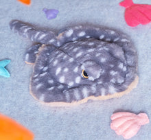Stella Stingray