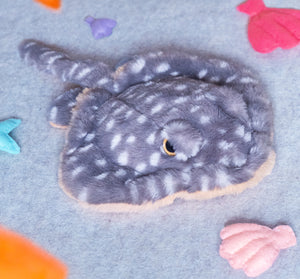 Stella Stingray