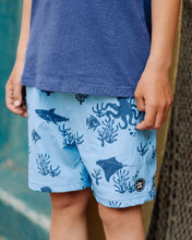 Volley Trunk in Crystal Blue