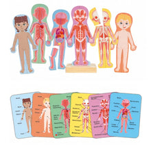 Human Body Magnetic Puzzle