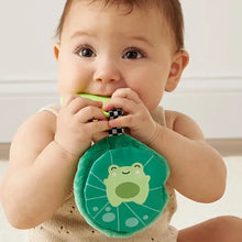 Sweetie Crinkle with Frog Silicone Teether