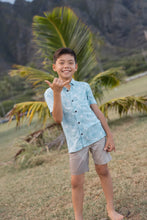 Island Haze Aloha Shirt