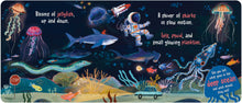 What Goes in the Ocean?