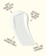 Sun Bum Mineral SPF 50 Sunscreen Roll-On Lotion - Fragrance Free