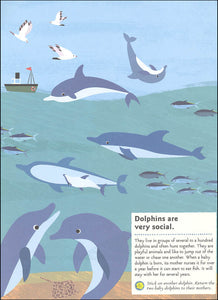 My Nature Sticker Activity Book : In the Ocean