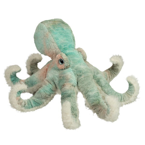 Winona Octopus