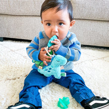 Dino Itzy Pal Plush + Teether