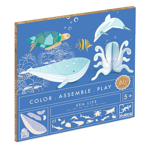 Color Assemble Play Cardboard Sea Life