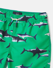 12yrs - Navy Shark on Green Swim Shorts