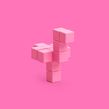 Pink Ostrich - 13 Magnetic Blocks