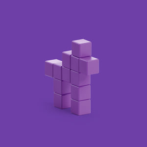 Violet Horse - 12 Magnetic Blocks