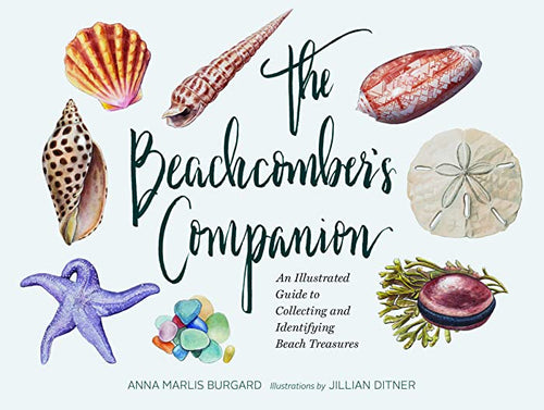 The Beachcomber's Companion: An Illustrated Guide to Collecting and Identifying Beach Treasures