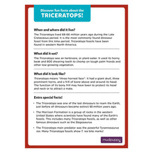 Triceratops Mini Puzzle - 48 pc Puzzle