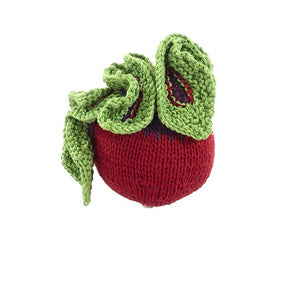 Beet Crochet Rattle Plushie